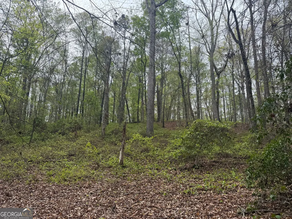 0 N County Line RD Alto, GA 30510