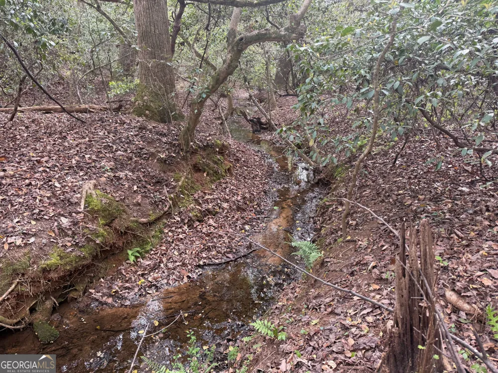 0 N County Line RD Alto, GA 30510