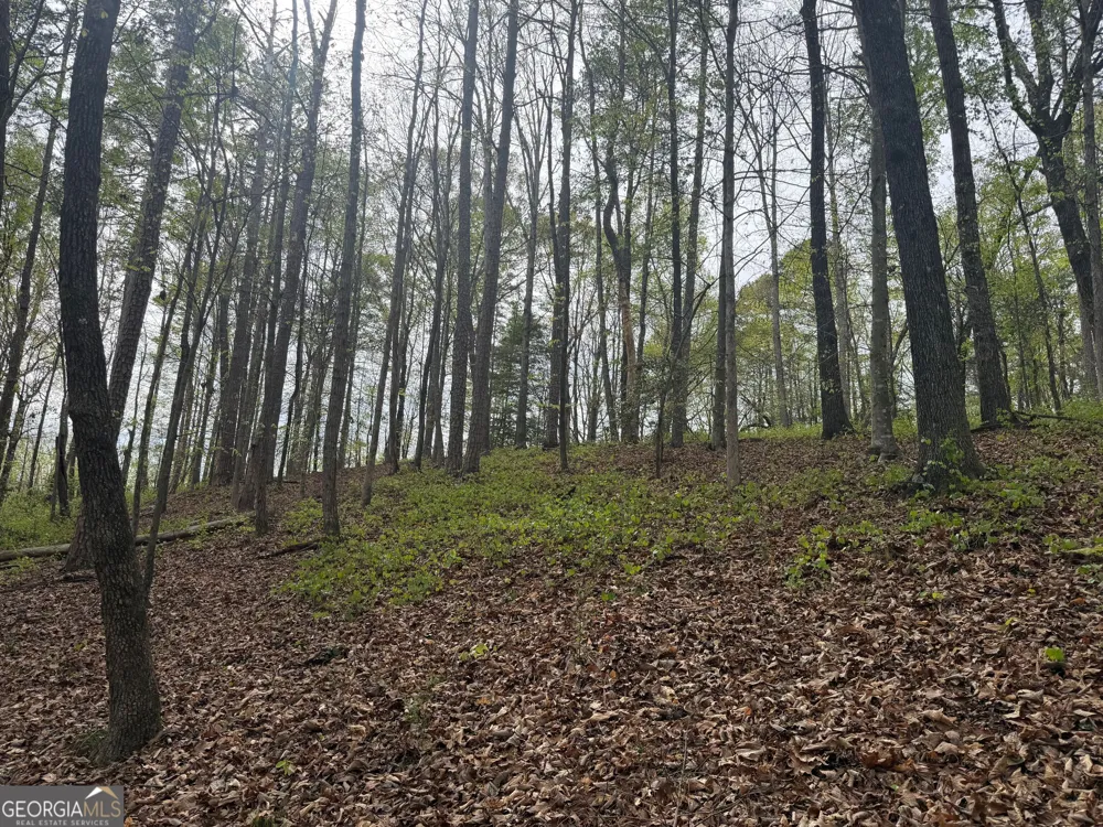 0 N County Line RD Alto, GA 30510