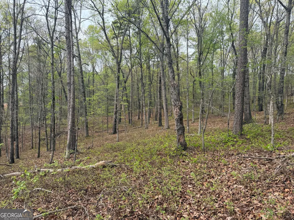0 N County Line RD Alto, GA 30510
