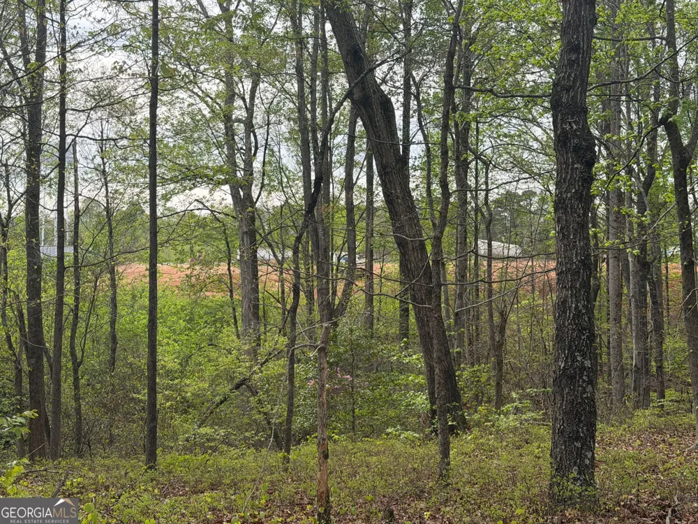 0 N County Line RD Alto, GA 30510
