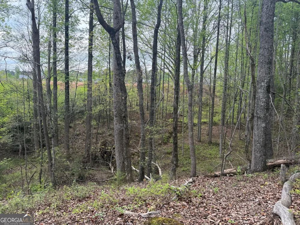 0 N County Line RD Alto, GA 30510
