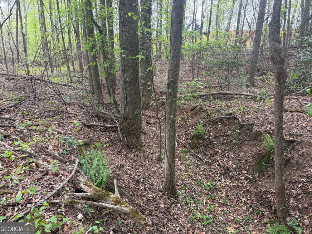 0 N County Line RD Alto, GA 30510
