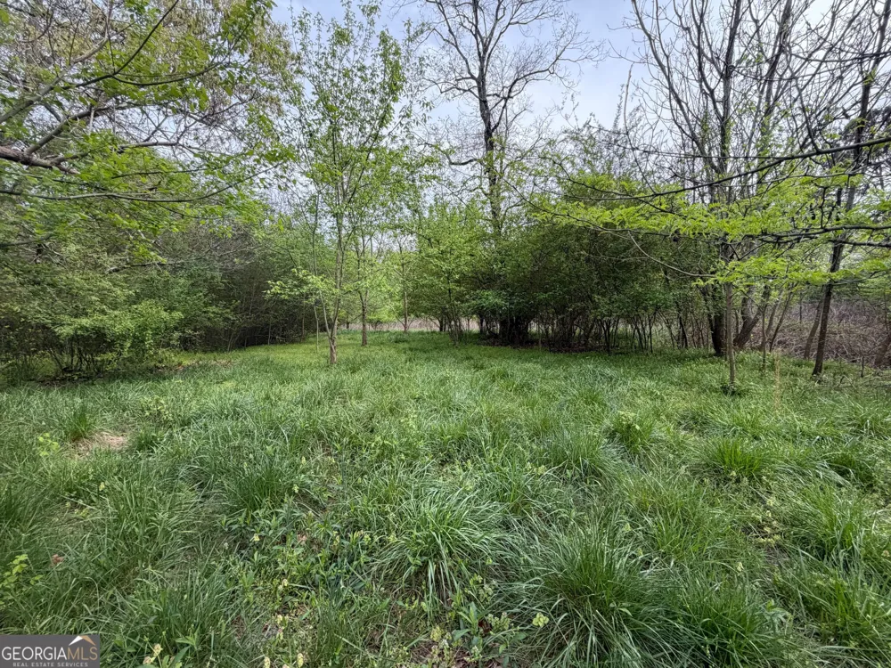 0 N County Line RD Alto, GA 30510