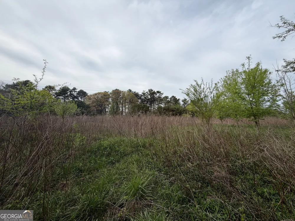 0 N County Line RD Alto, GA 30510