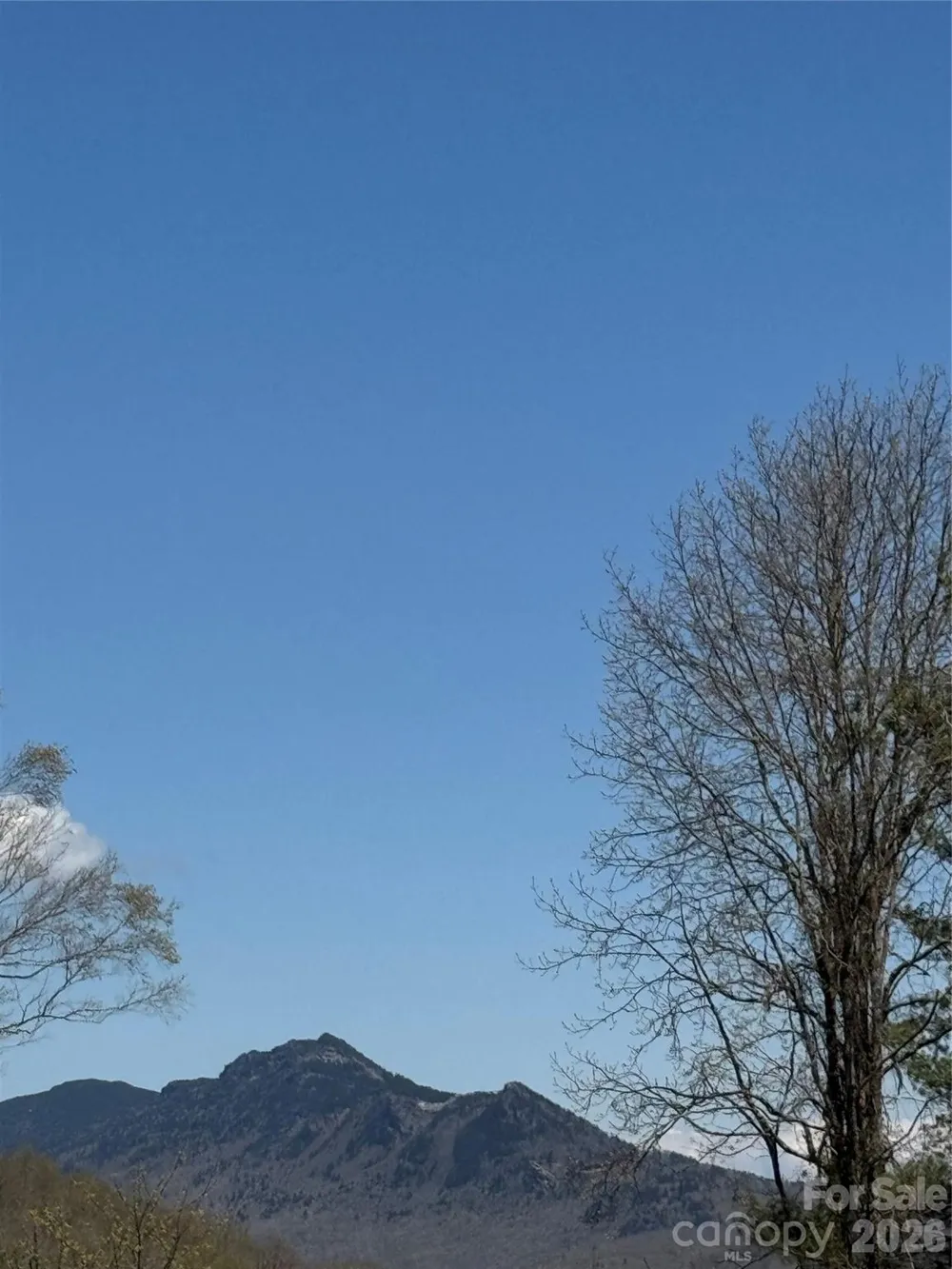 TBD Crestwood Circle #51 Linville, NC 28646