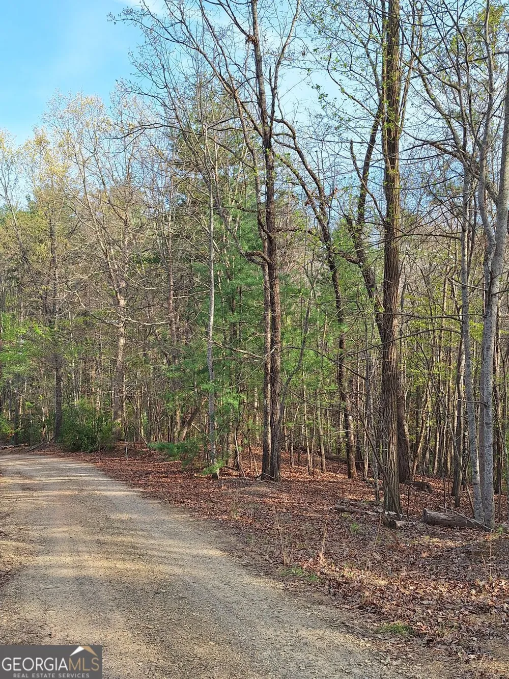 0 Mull Lane CIR Morganton, GA 30560