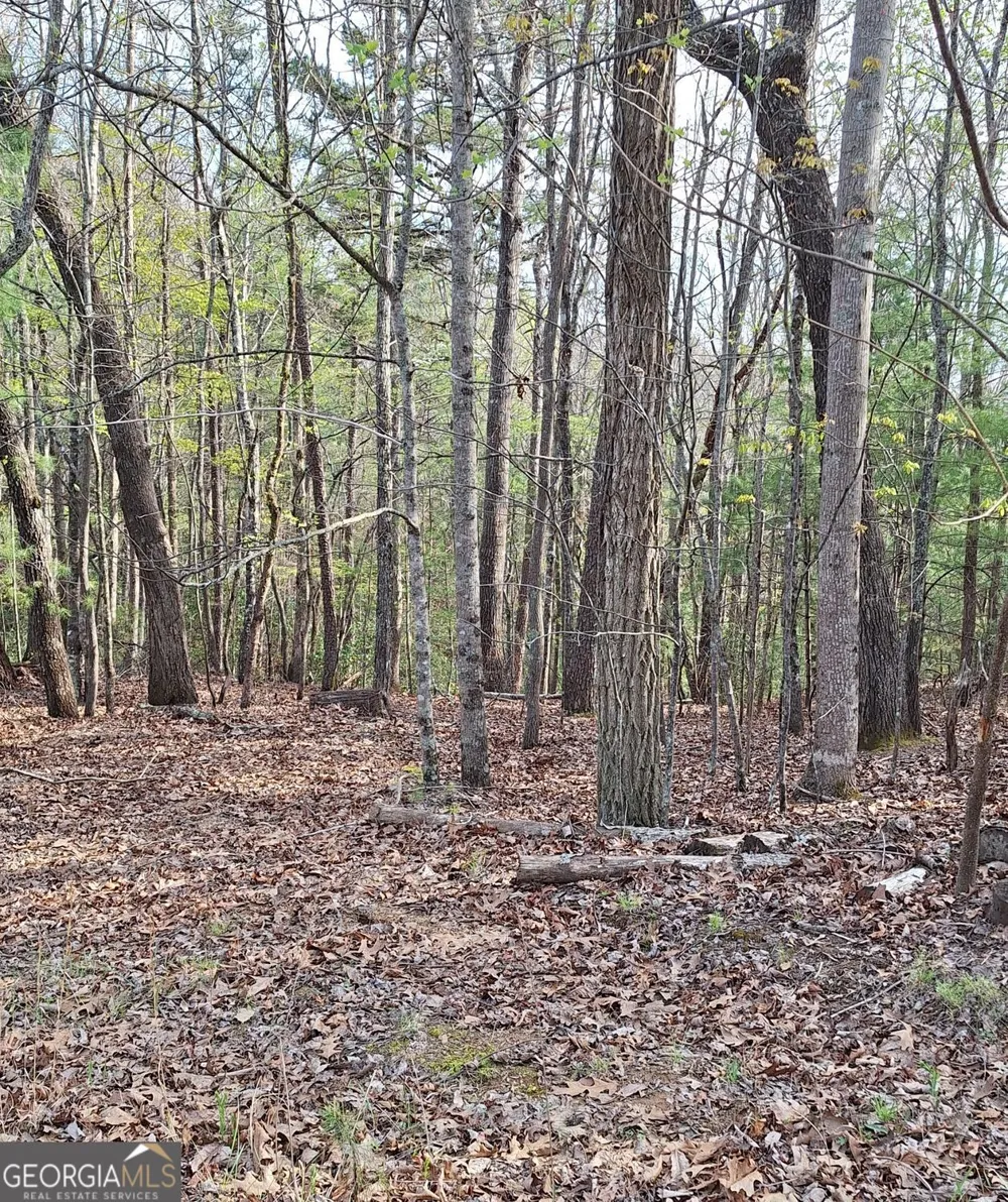 0 Mull Lane CIR Morganton, GA 30560