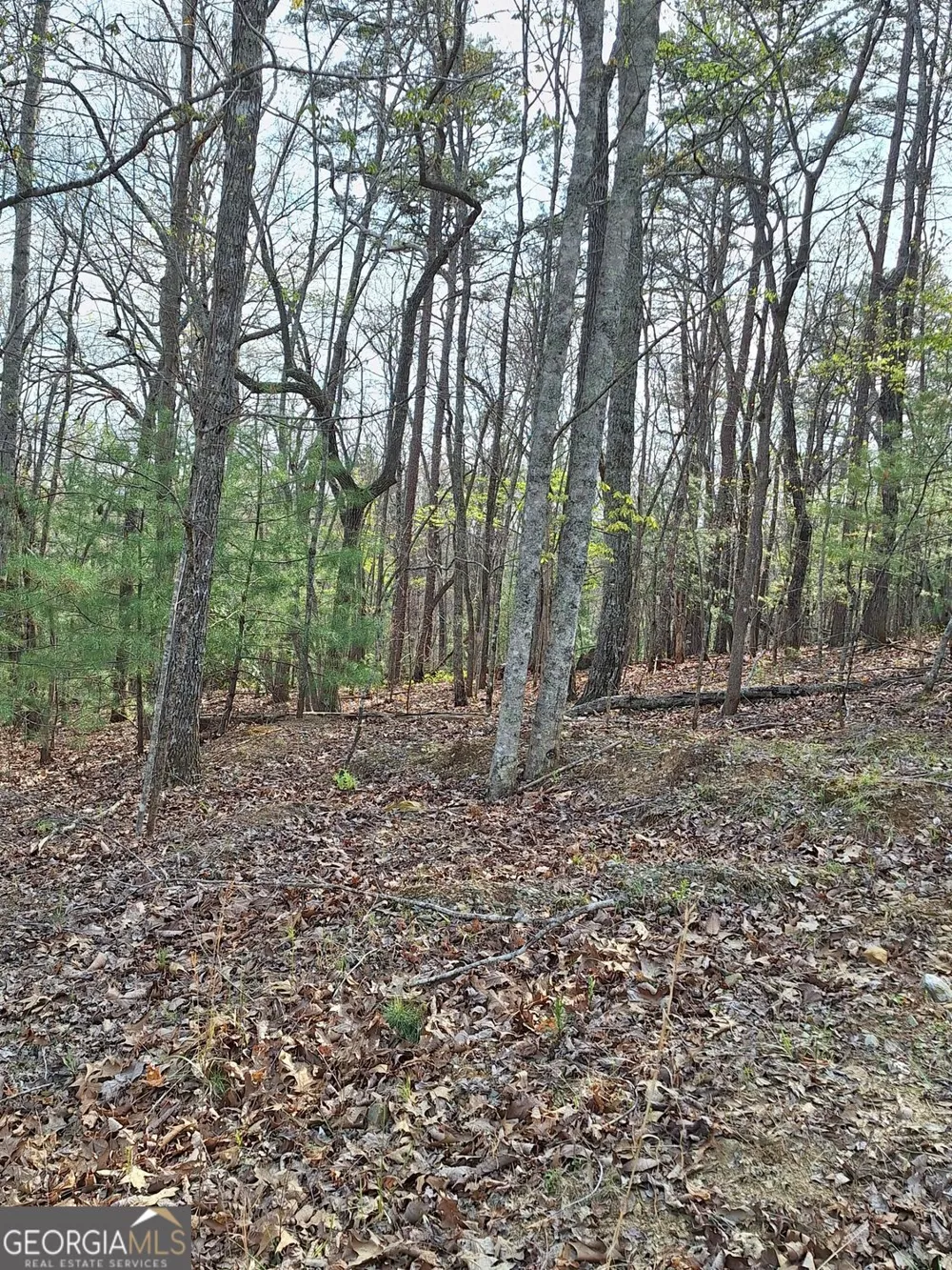 0 Mull Lane CIR Morganton, GA 30560