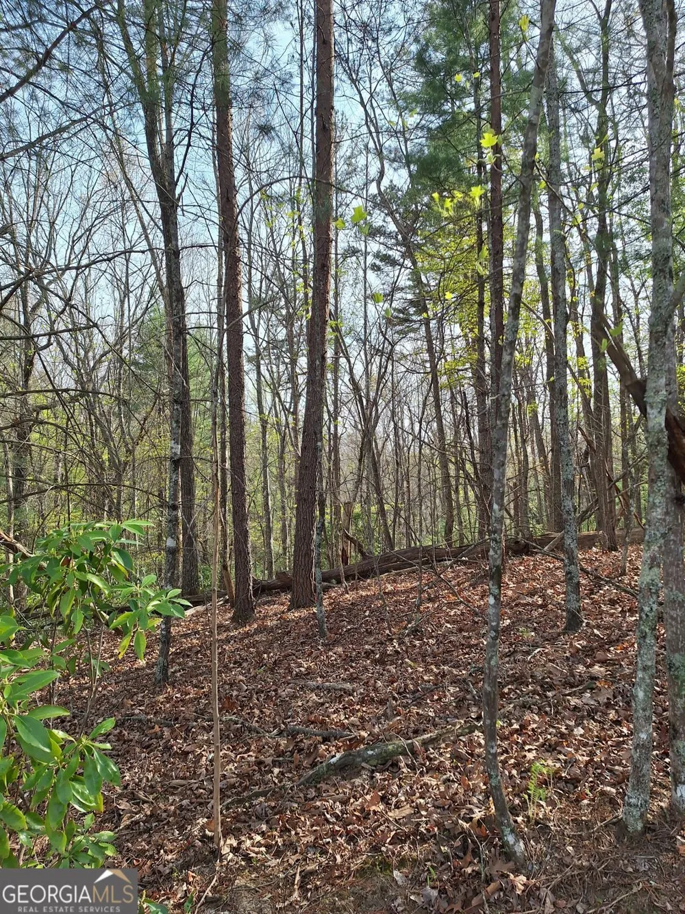 0 Mull Lane CIR Morganton, GA 30560