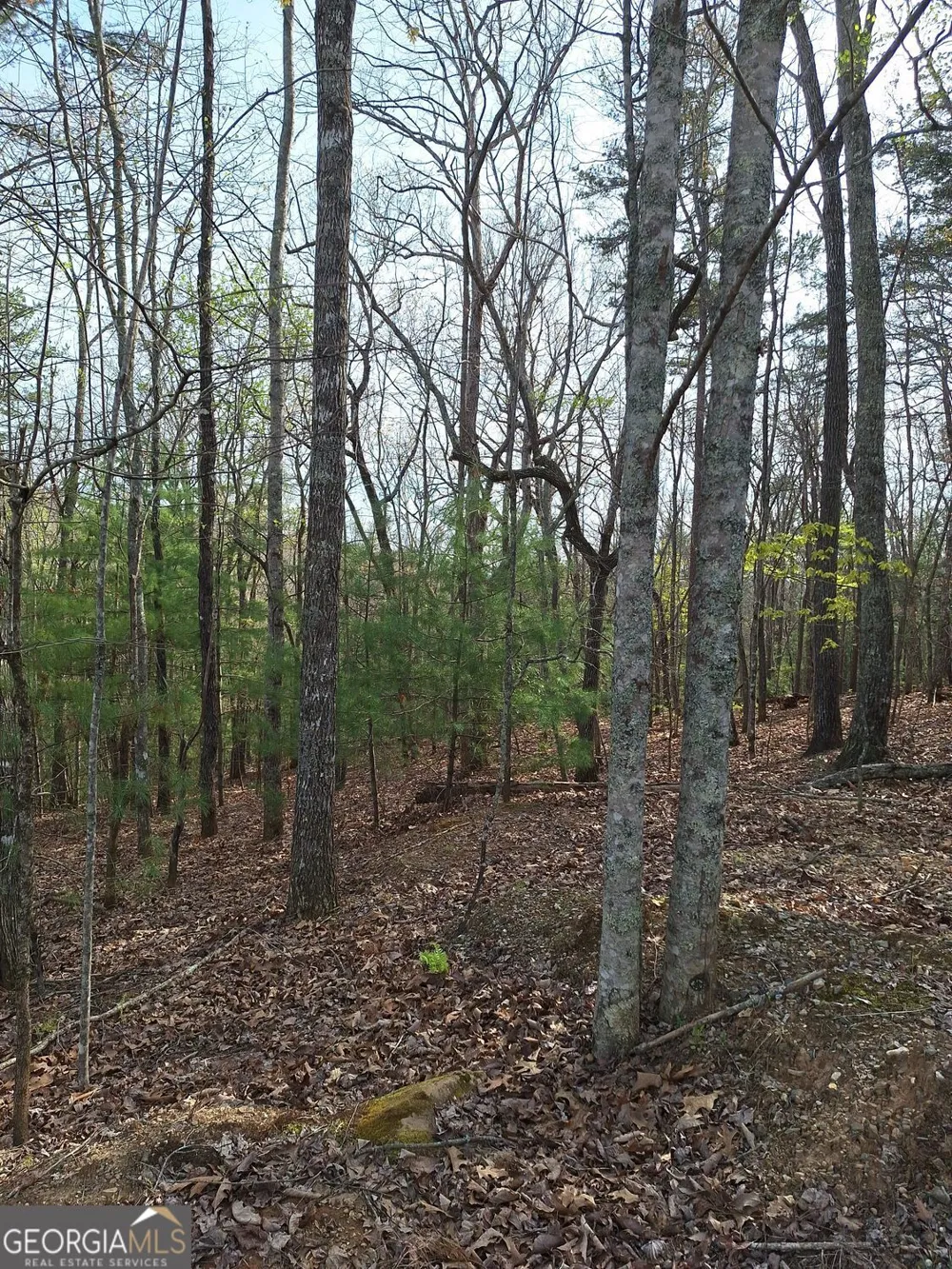 0 Mull Lane CIR Morganton, GA 30560