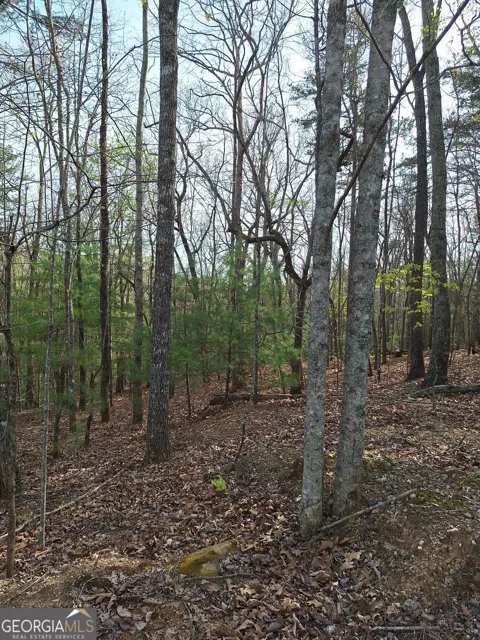 0 Mull Lane CIR