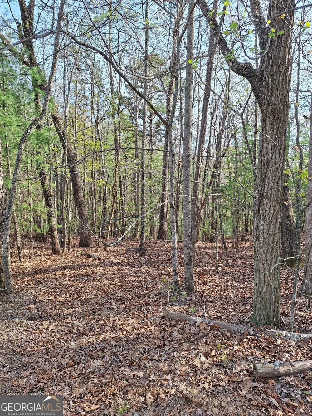 0 Mull Lane CIR Morganton, GA 30560