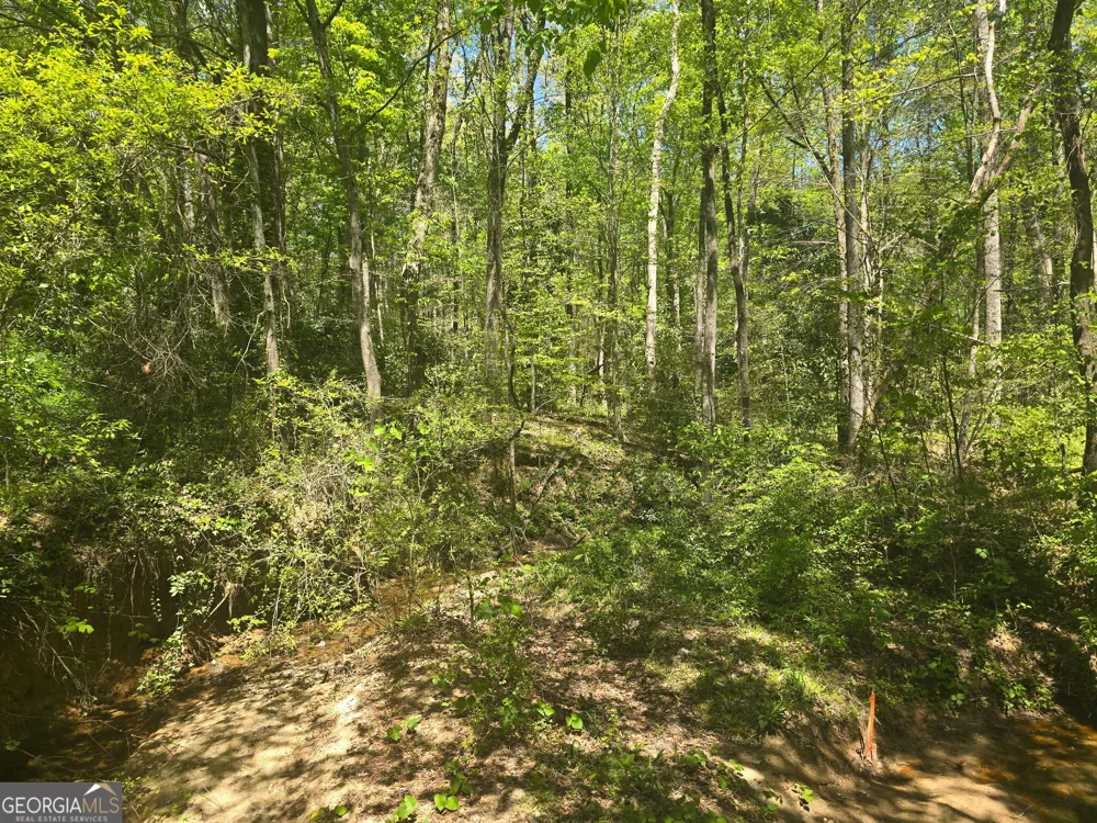 0 Hilltop LN Toccoa, GA 30577