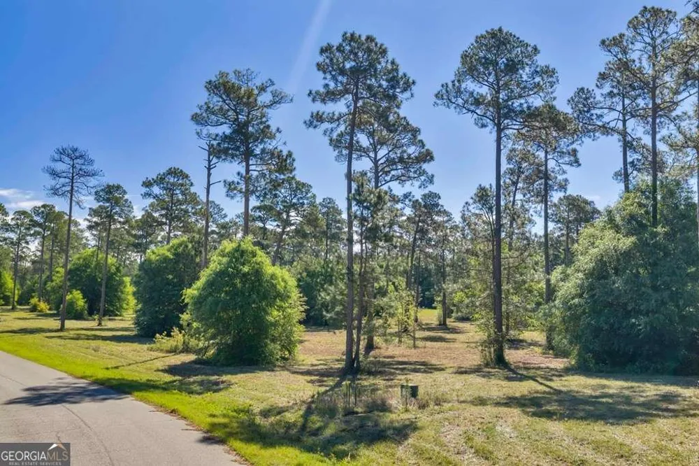 0 Swann Dr Lot 48 Block A Cordele, GA 31015