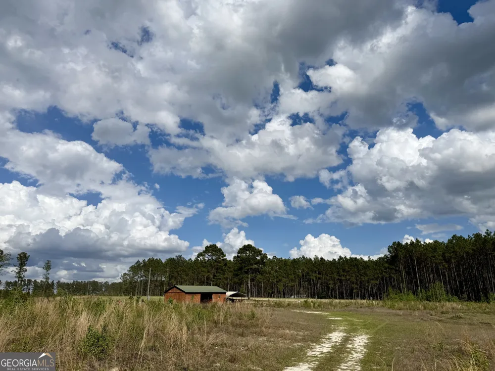 0 Graham RD Cadwell, GA 31009
