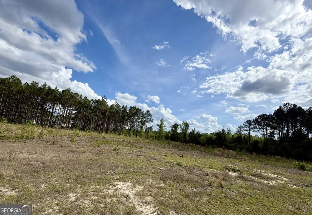 0 Graham RD Cadwell, GA 31009