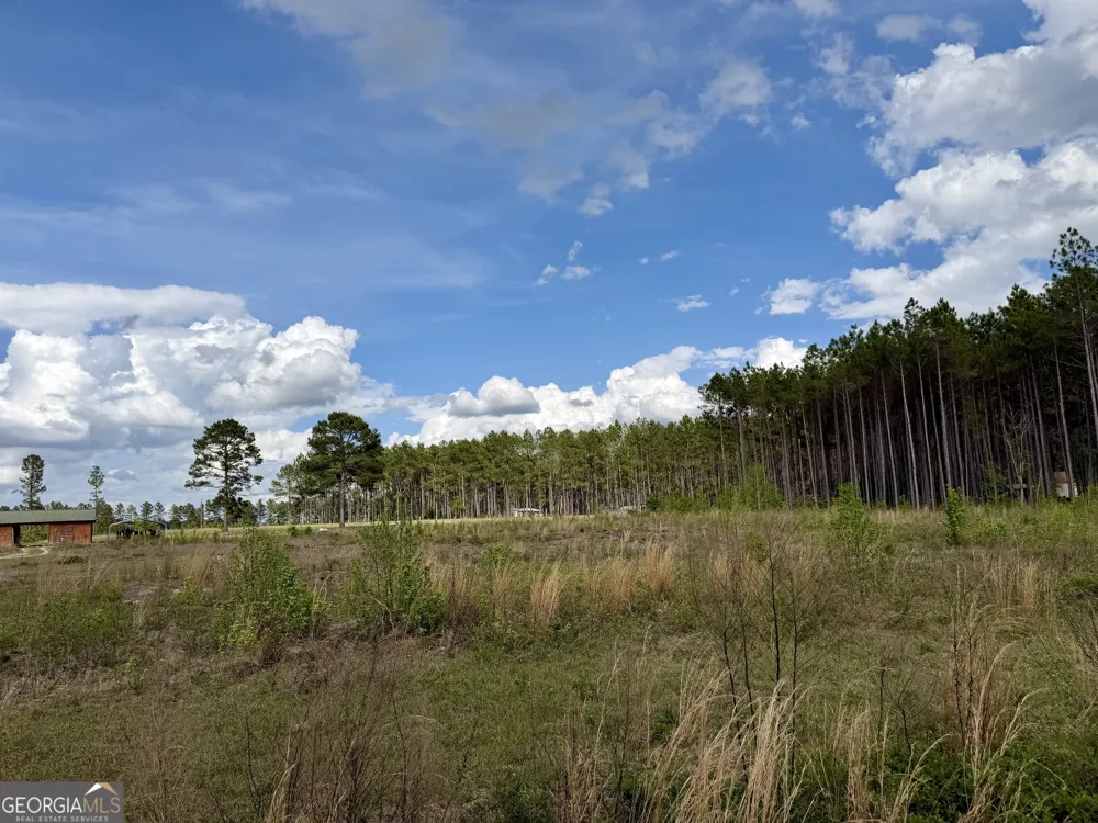 0 Graham RD Cadwell, GA 31009