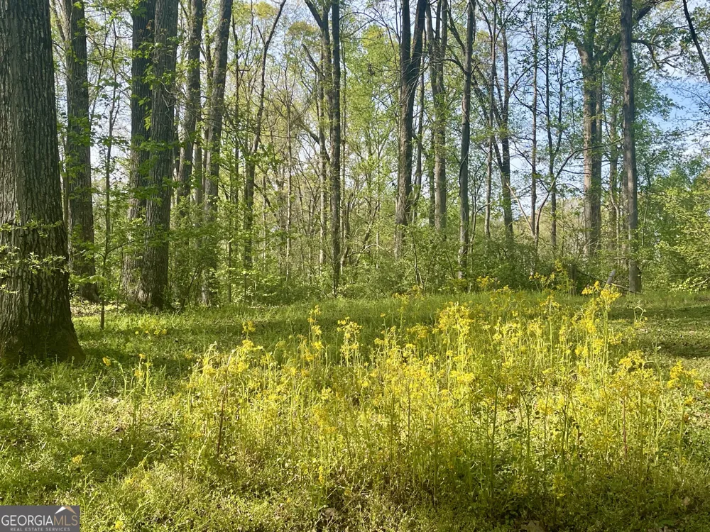 12005-A Hutcheson Ferry RD Chattahoochee Hills, GA 30268
