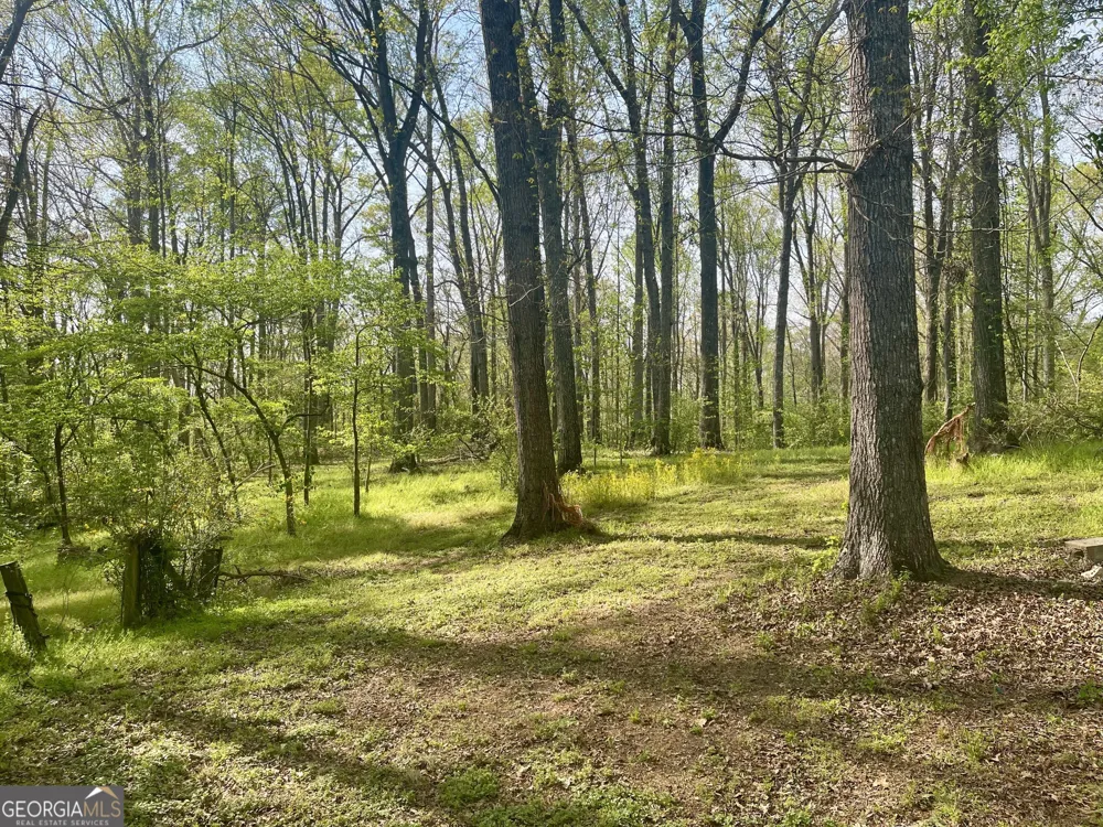 12005-A Hutcheson Ferry RD Chattahoochee Hills, GA 30268