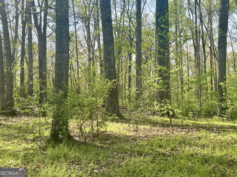 12005-A Hutcheson Ferry RD Chattahoochee Hills, GA 30268