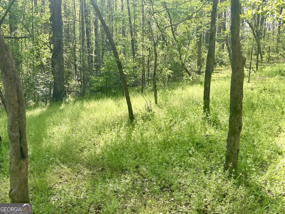 12005-A Hutcheson Ferry RD Chattahoochee Hills, GA 30268