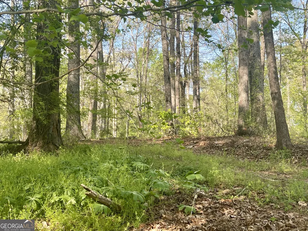 12005-A Hutcheson Ferry RD Chattahoochee Hills, GA 30268