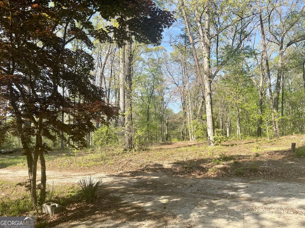 12005-A Hutcheson Ferry RD Chattahoochee Hills, GA 30268