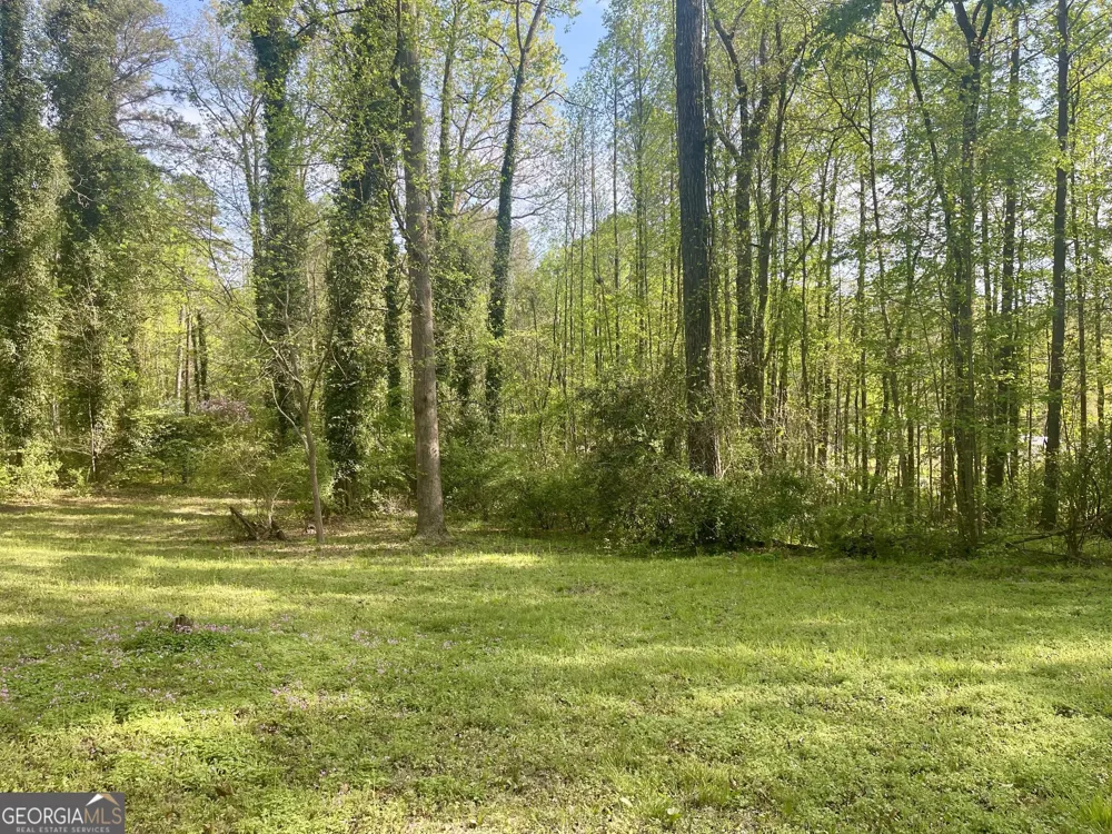12005-A Hutcheson Ferry RD Chattahoochee Hills, GA 30268