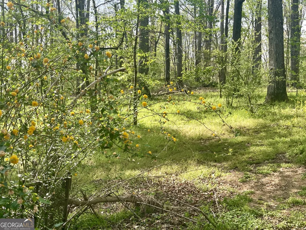 12005-A Hutcheson Ferry RD Chattahoochee Hills, GA 30268