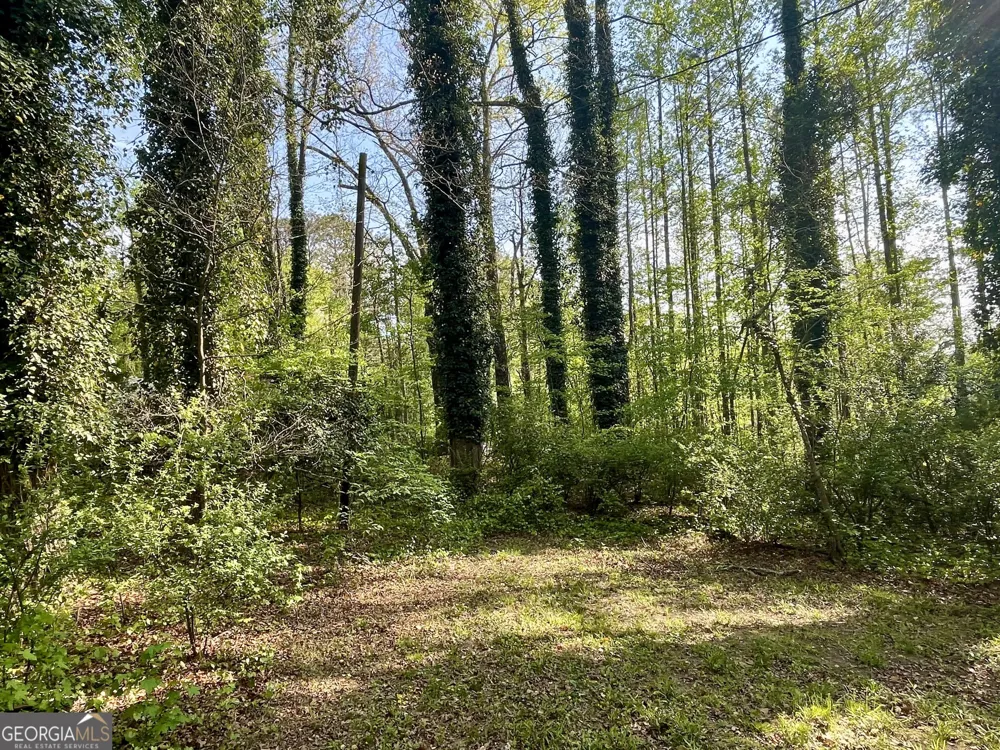 12005-A Hutcheson Ferry RD Chattahoochee Hills, GA 30268