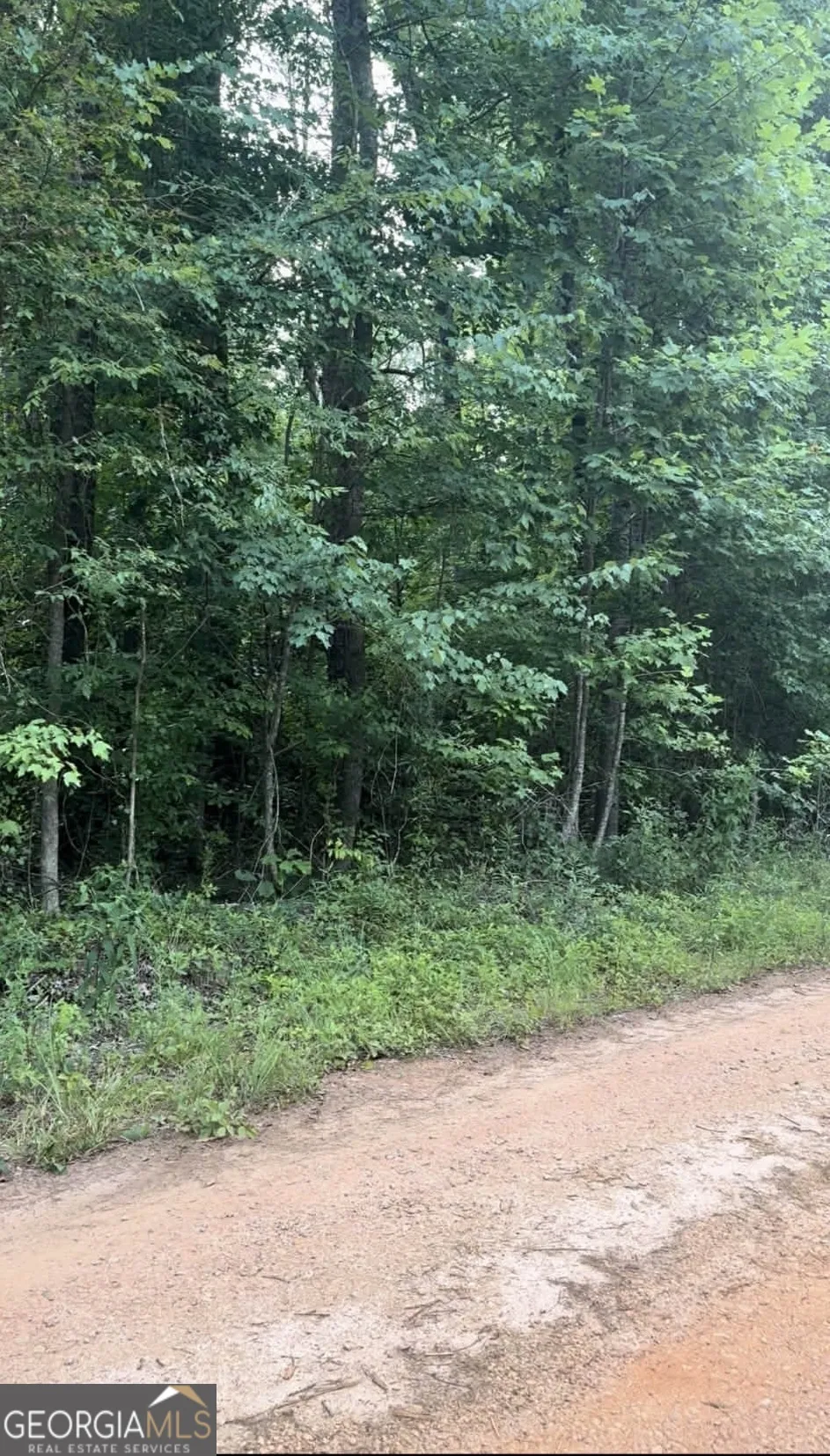 0 Morris Trail LOT 2 Carnesville, GA 30521