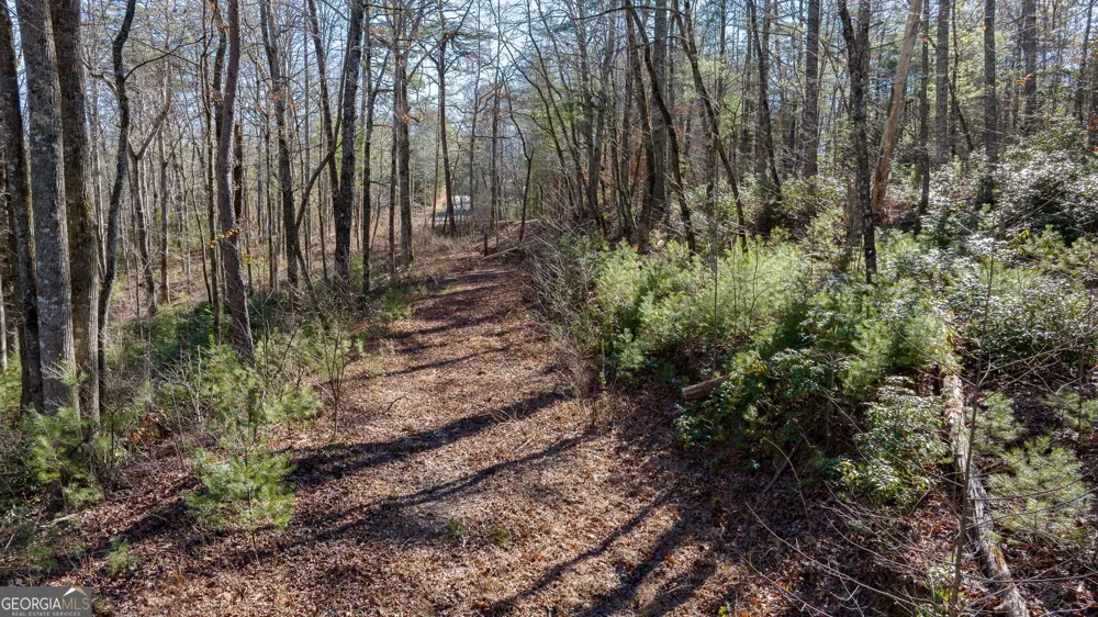 0 Highway 356 Helen, GA 30545