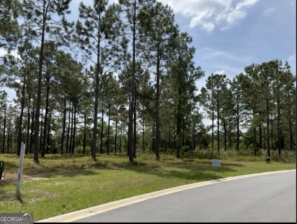135 Beacon Pointe PKWY Waverly, GA 31565