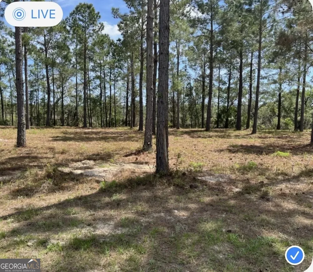 135 Beacon Pointe PKWY Waverly, GA 31565