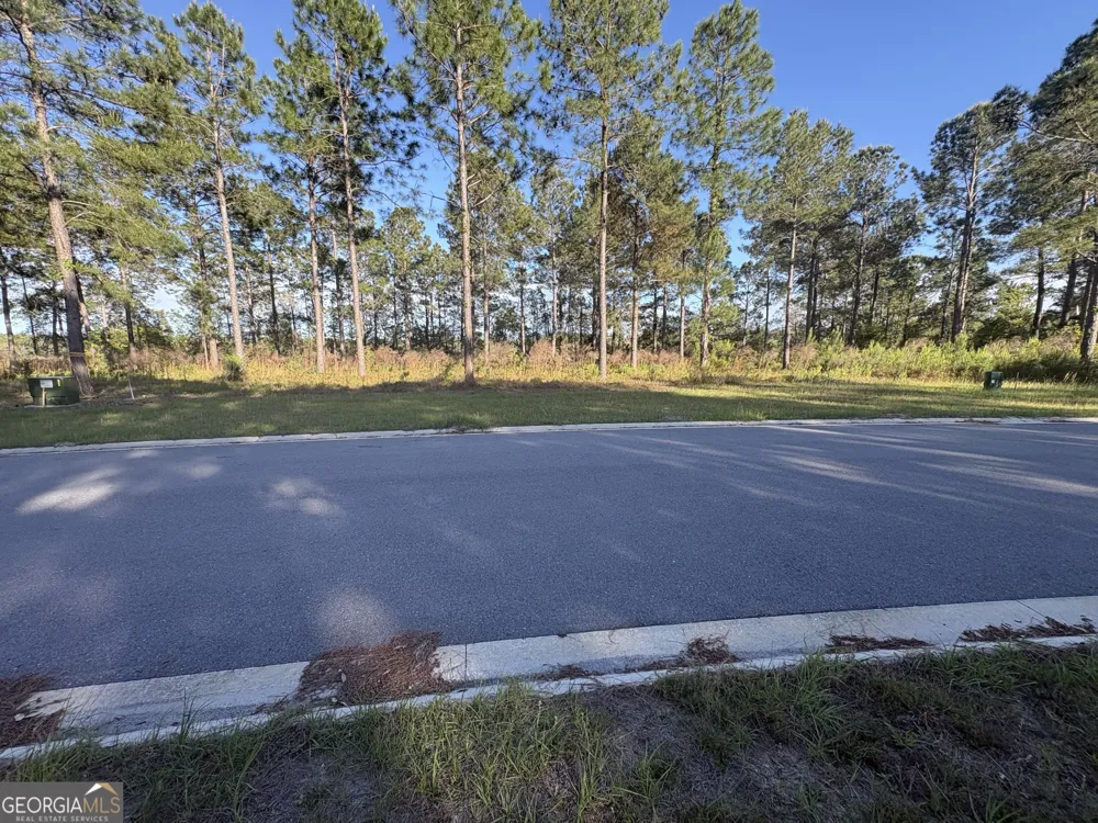 135 Beacon Pointe PKWY Waverly, GA 31565