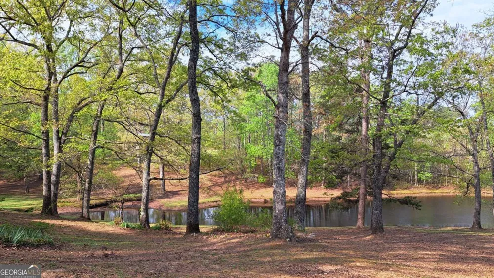 112 Brannon RD Buchanan, GA 30113