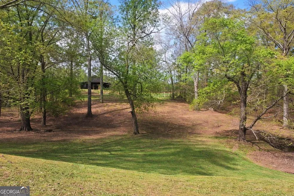 112 Brannon RD Buchanan, GA 30113