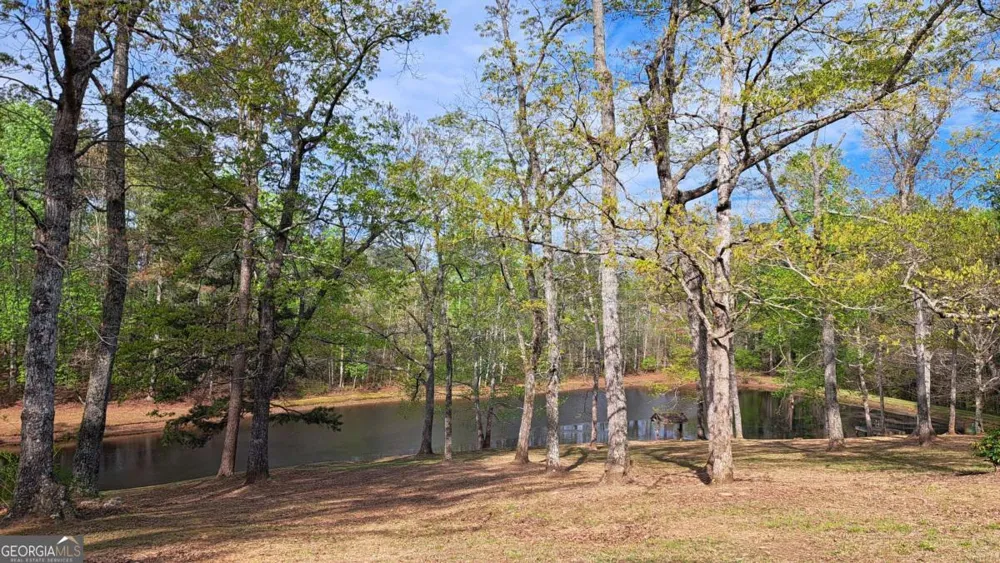 112 Brannon RD Buchanan, GA 30113