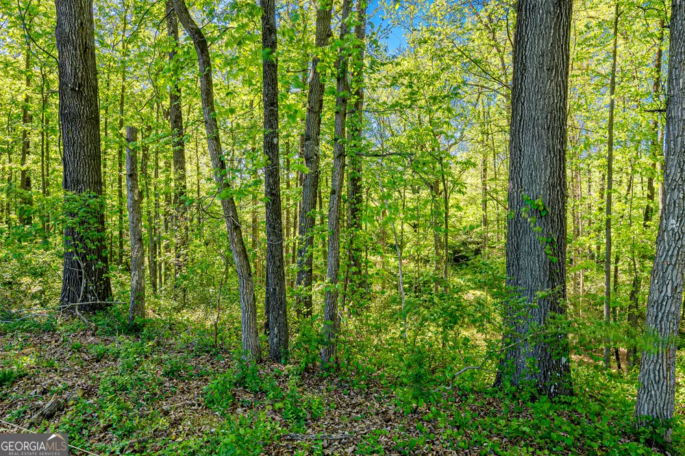 649 Adamstown RD Bowersville, GA 30516