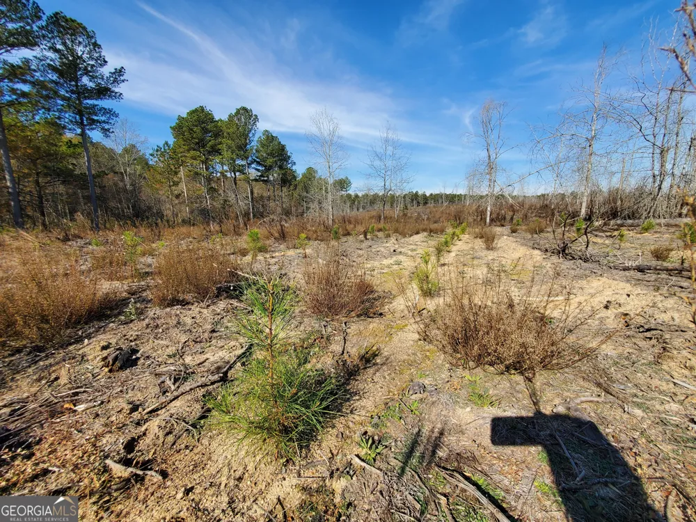 1 Smith Rocky Branch RD Carlton, GA 30627