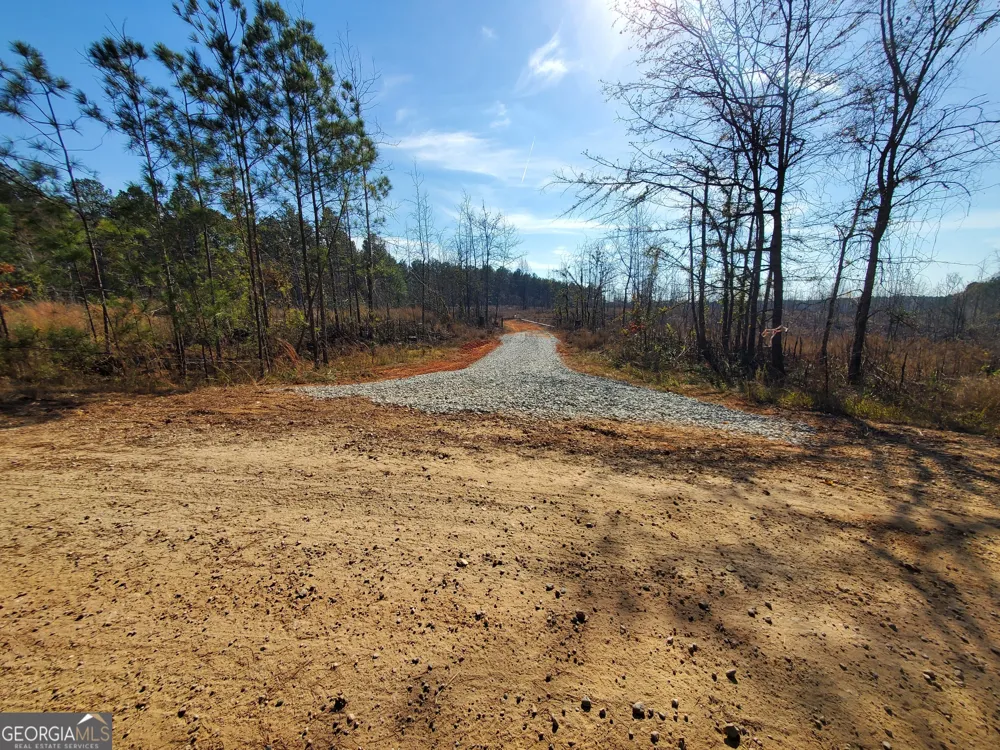 1 Smith Rocky Branch RD Carlton, GA 30627