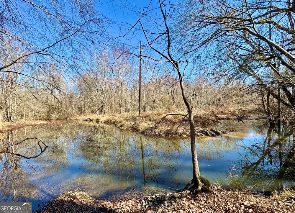 1 Cross Cedar RD Wrightsville, GA 31096