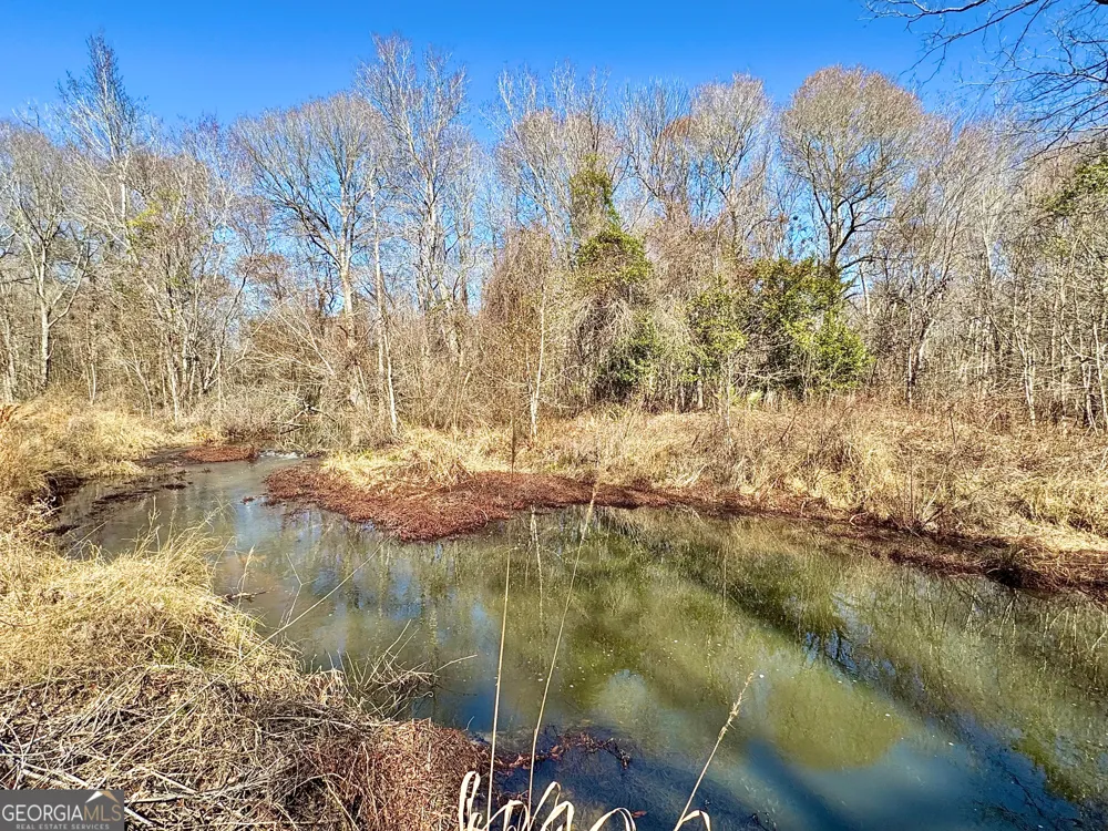1 Cross Cedar RD Wrightsville, GA 31096