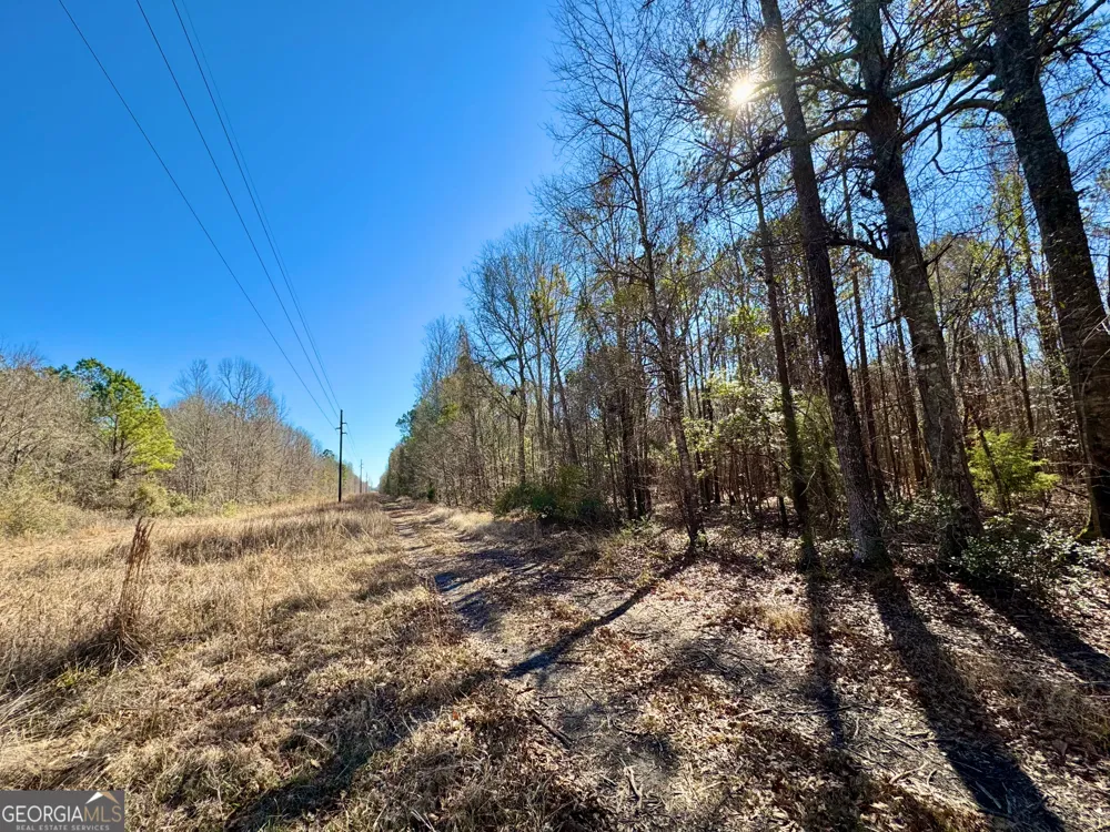1 Cross Cedar RD Wrightsville, GA 31096