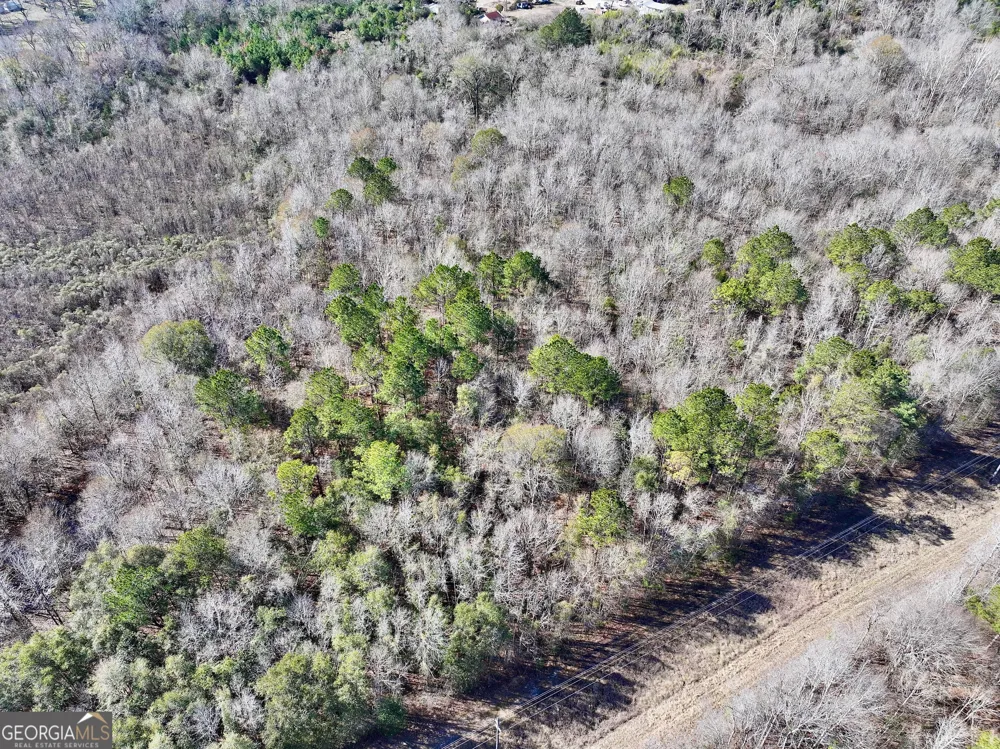 1 Cross Cedar RD Wrightsville, GA 31096