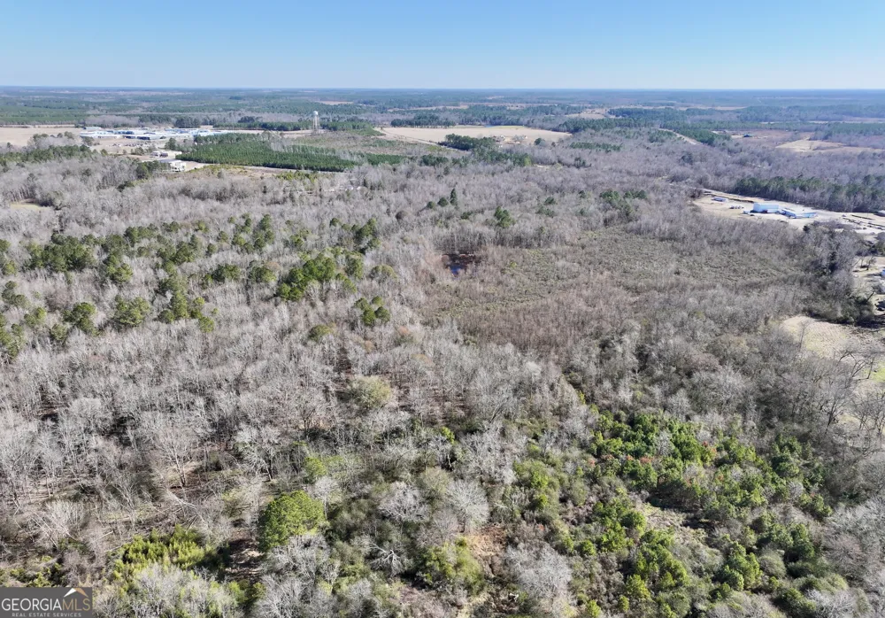 1 Cross Cedar RD Wrightsville, GA 31096