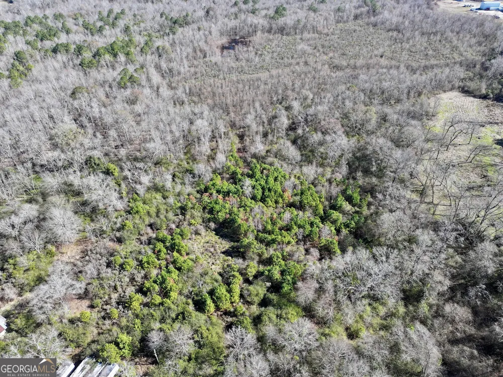1 Cross Cedar RD Wrightsville, GA 31096