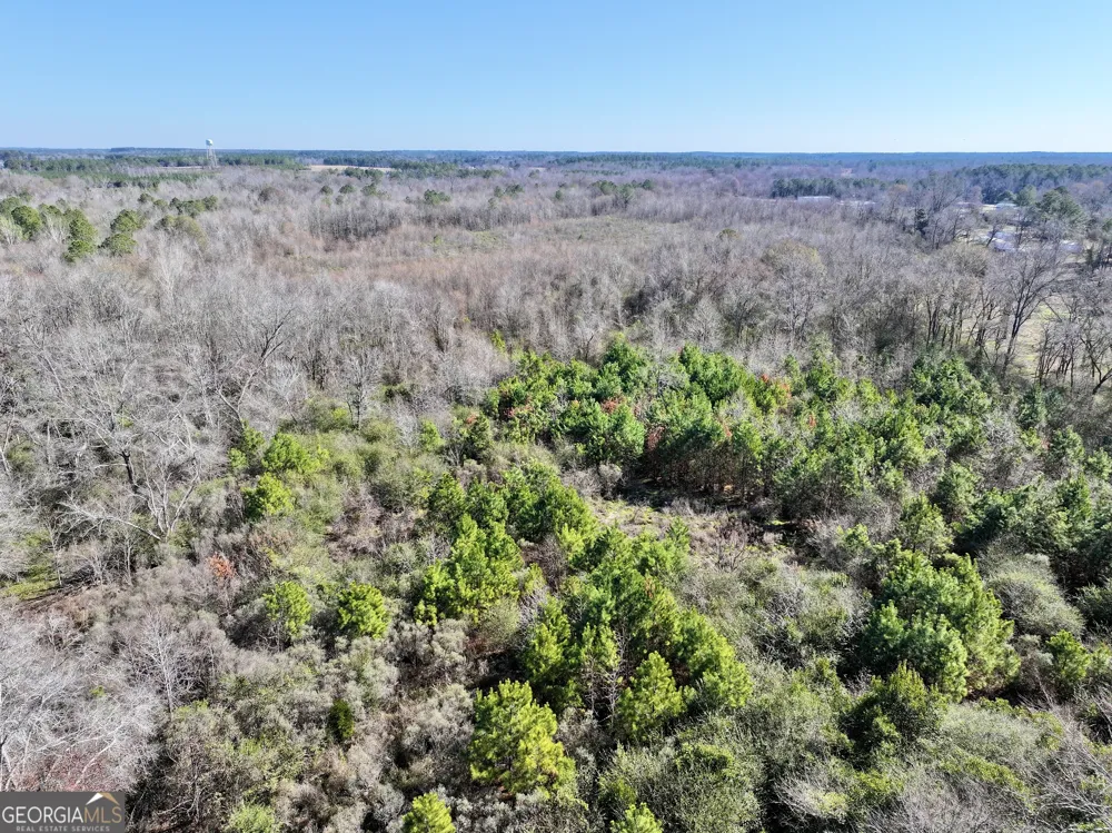 1 Cross Cedar RD Wrightsville, GA 31096