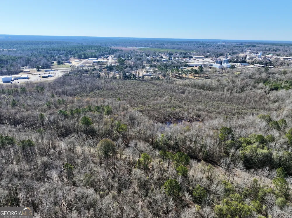 1 Cross Cedar RD Wrightsville, GA 31096